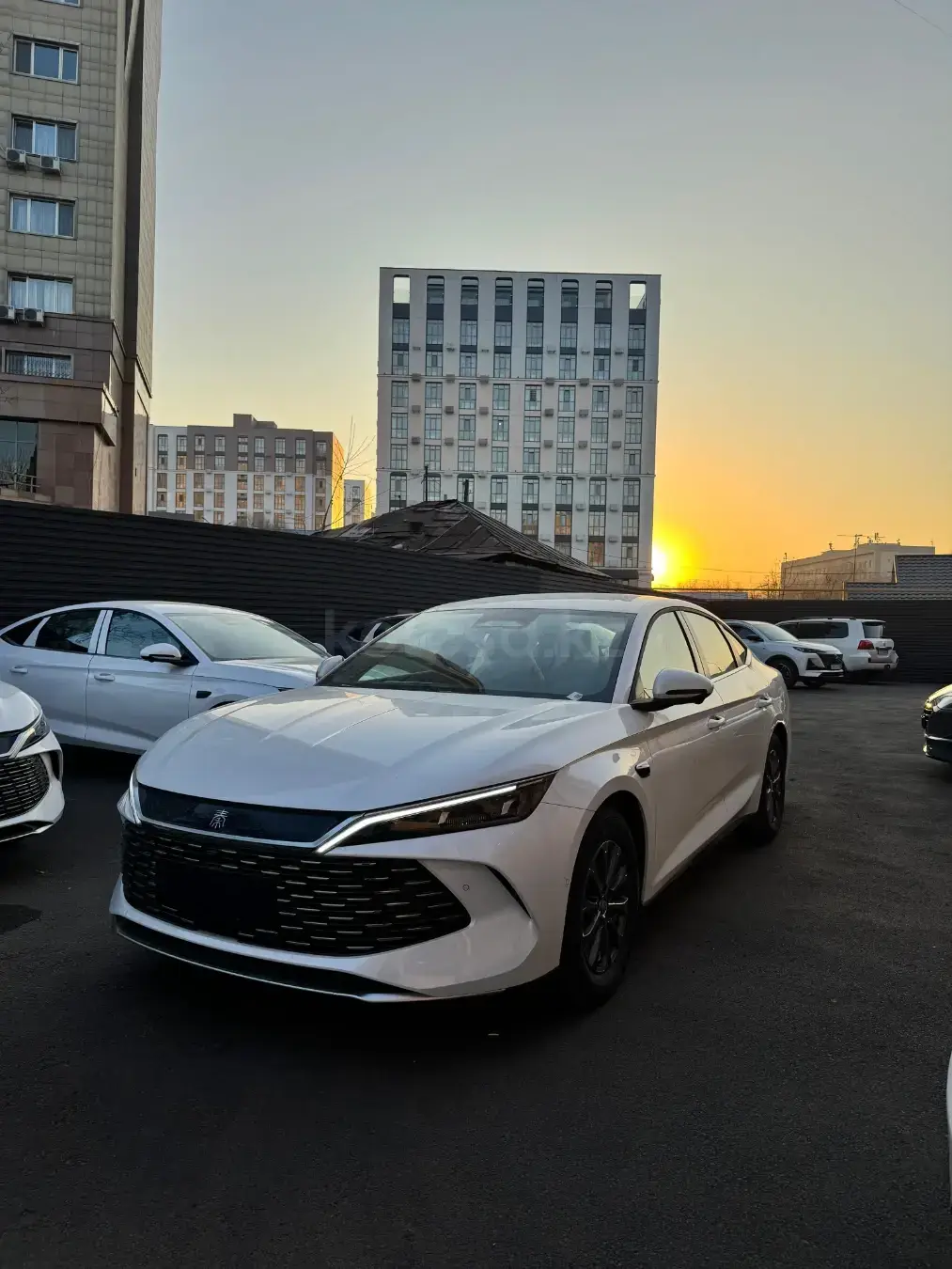 BYD Qin L DM-i 2025 — фото 1 из 5