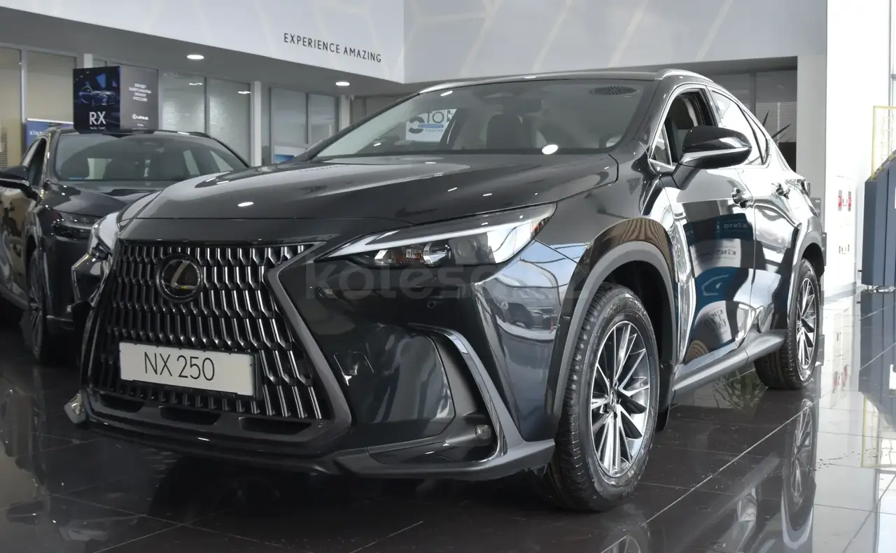 Lexus NX 250 2025 — фото 1 из 5