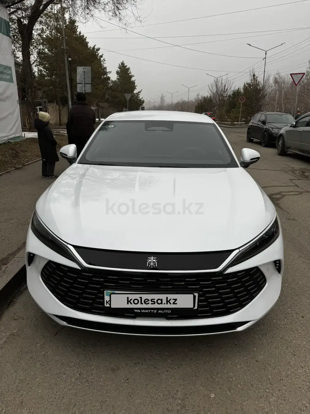 BYD Qin L DM-i 2025 — фото 1 из 2