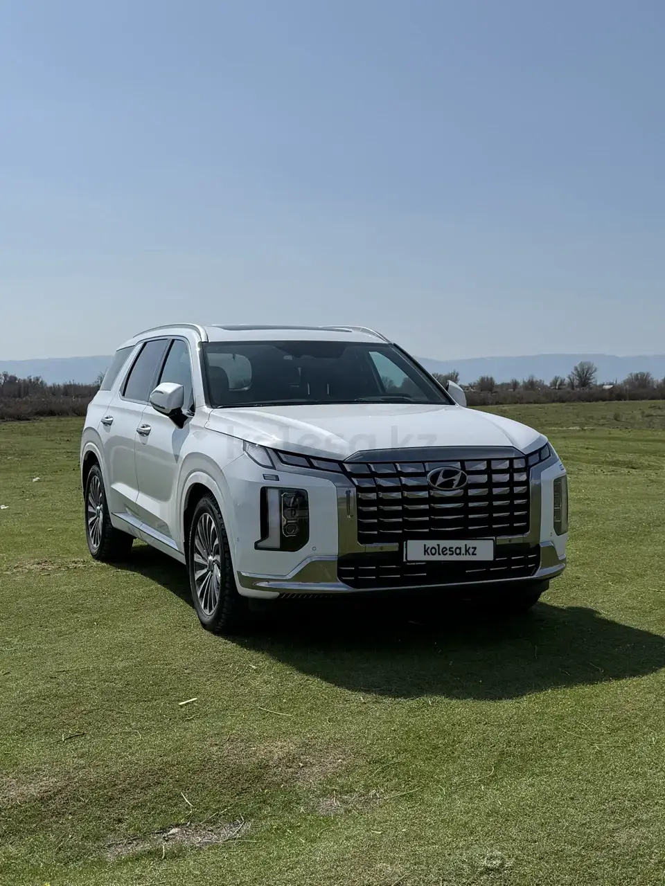 Hyundai Palisade 2025 — фото 1 из 3