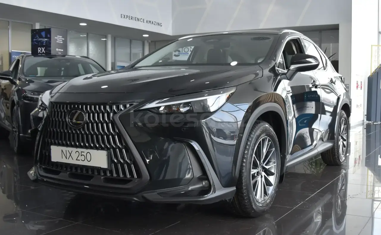 Lexus NX 250 2025 — фото 1 из 5