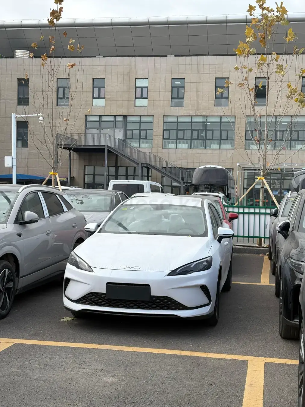 BYD Seal 05 2025 — фото 1 из 5
