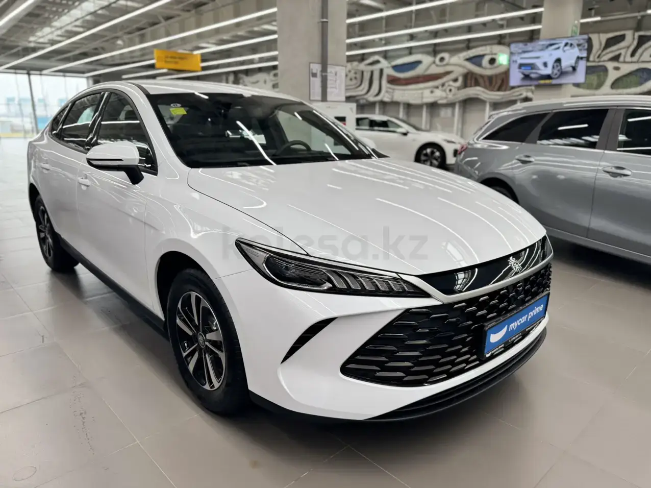 BYD Qin Plus 2025 — фото 1 из 5