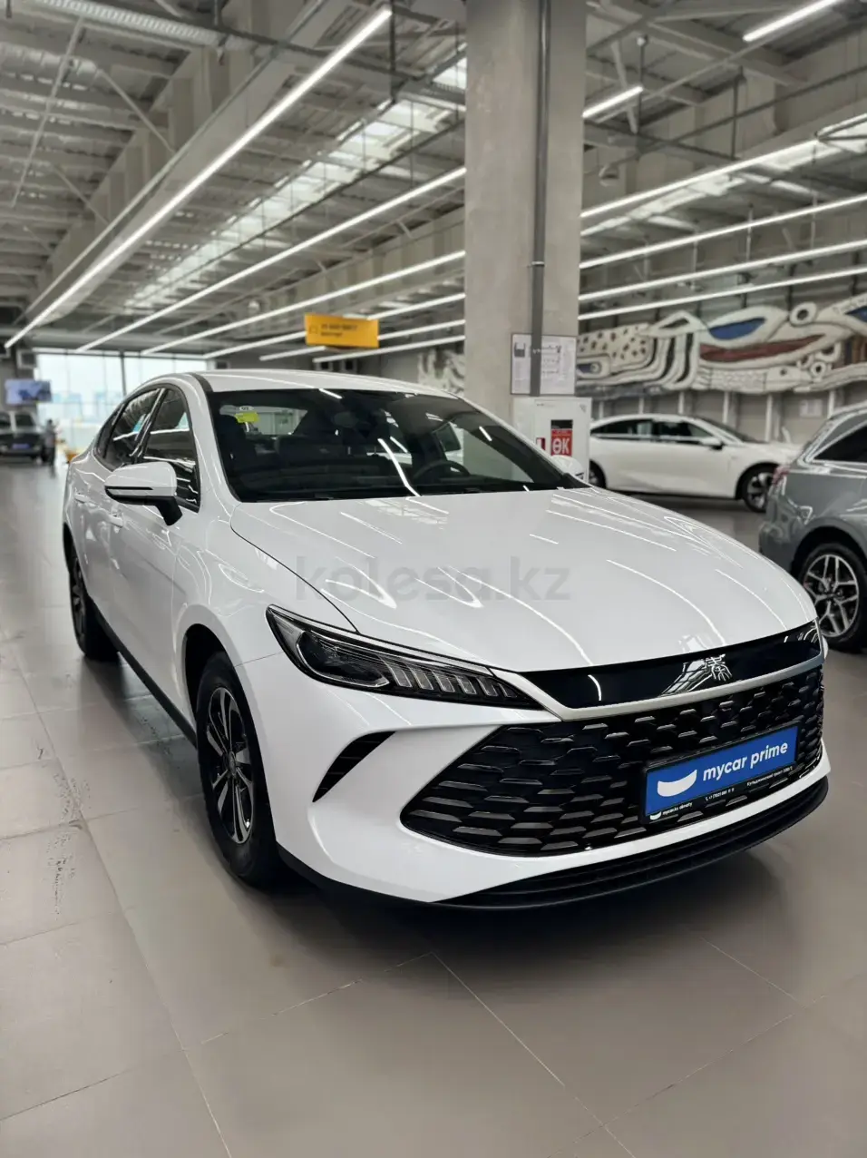 BYD Qin Plus 2025 — фото 1 из 5