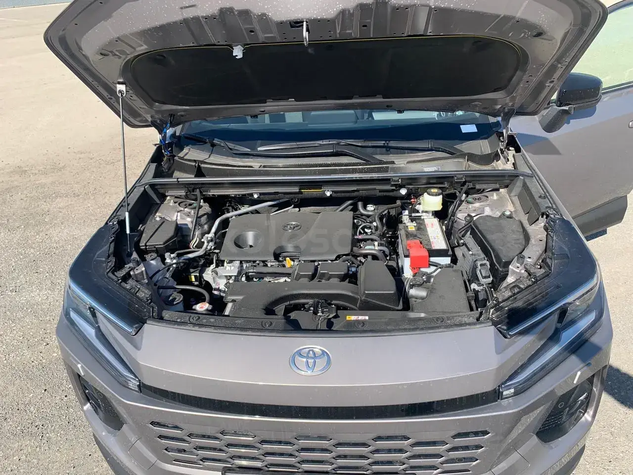 Toyota RAV 4 2026 — фото 1 из 5