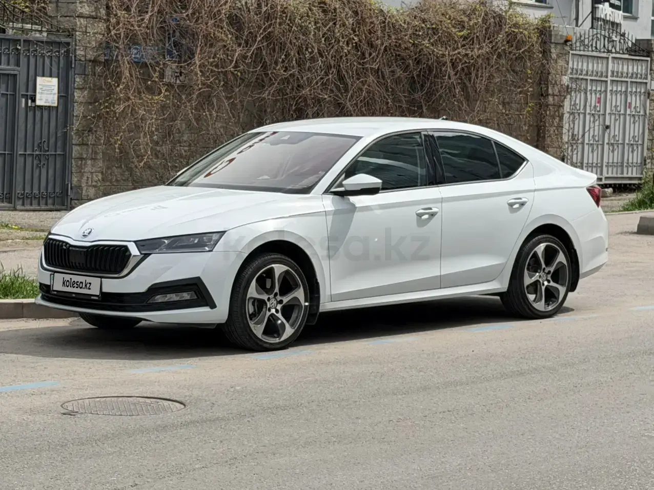 Skoda Octavia 2025 — фото 1 из 5
