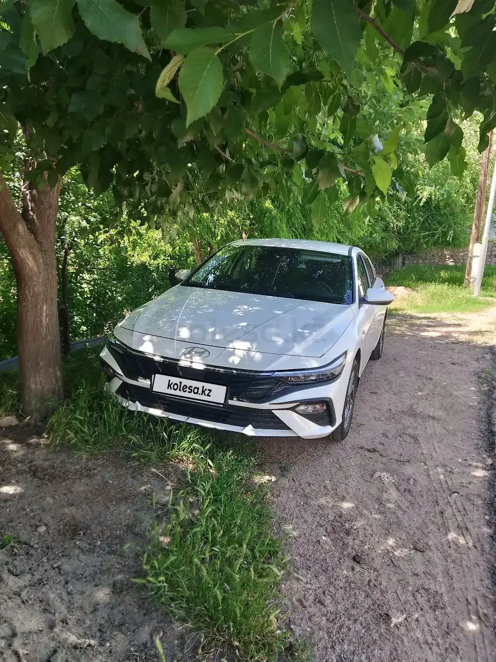 Hyundai Elantra 2025 — фото 1 из 5
