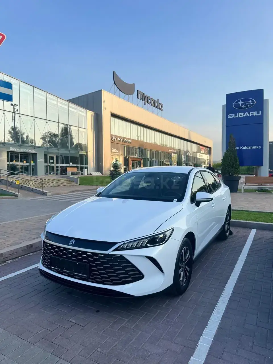 BYD Qin Plus 2025 — фото 1 из 5