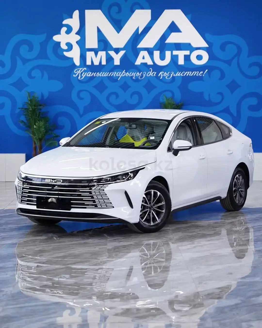 BYD Destroyer 05 2025 — фото 1 из 5