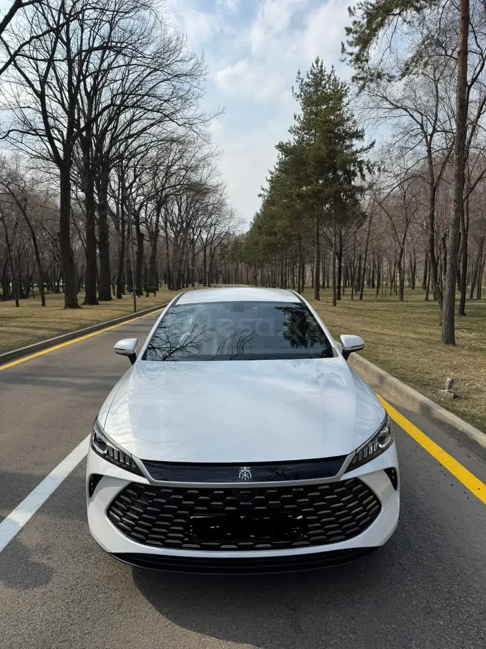BYD Qin Plus 2025 — фото 1 из 5
