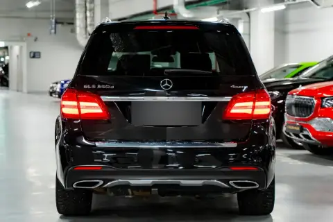 Mercedes-Benz GLS-Класс 350, I (X166) 2018 — миниатюра 5
