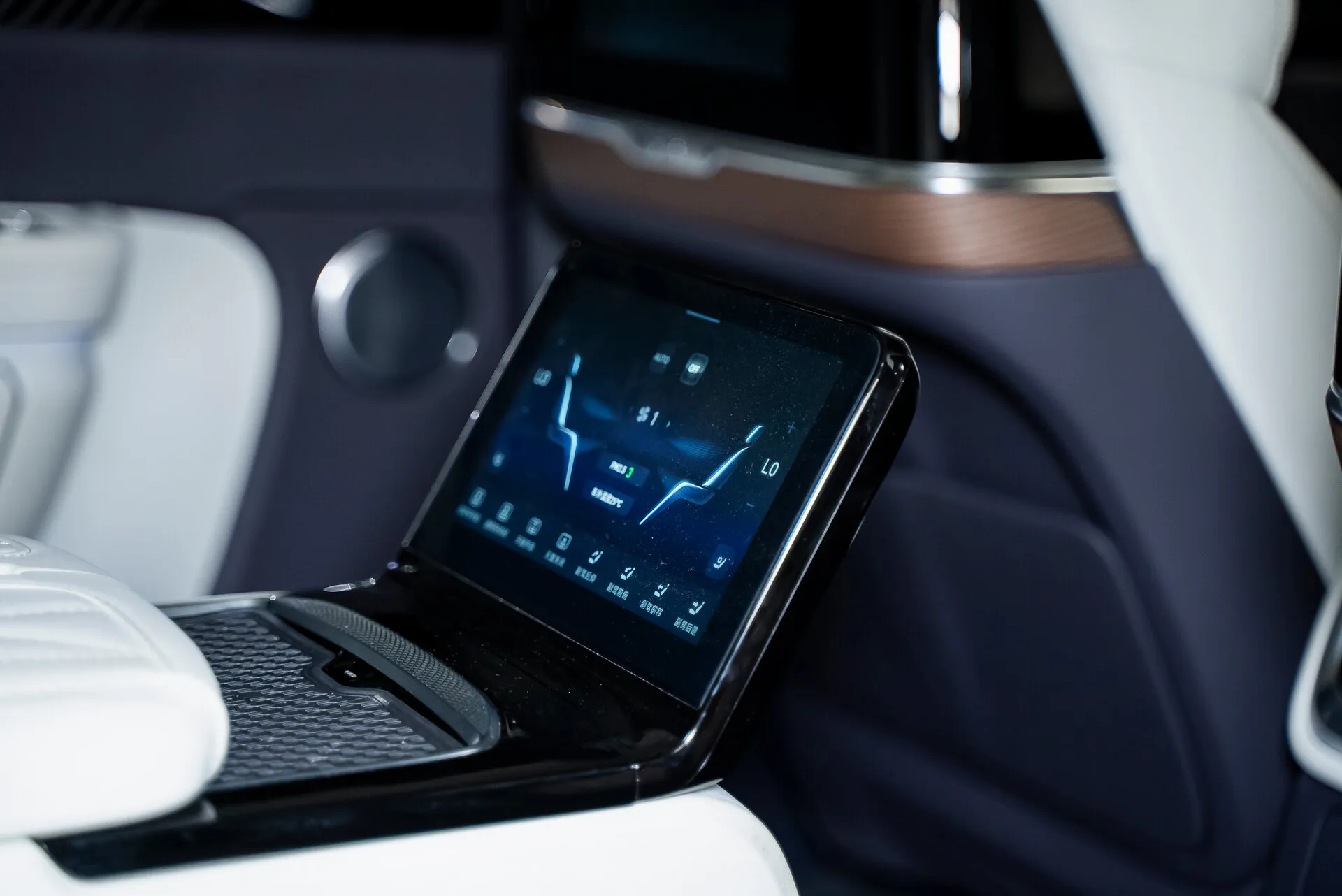 Hongqi E-Hs9, I 2023 фото 2
