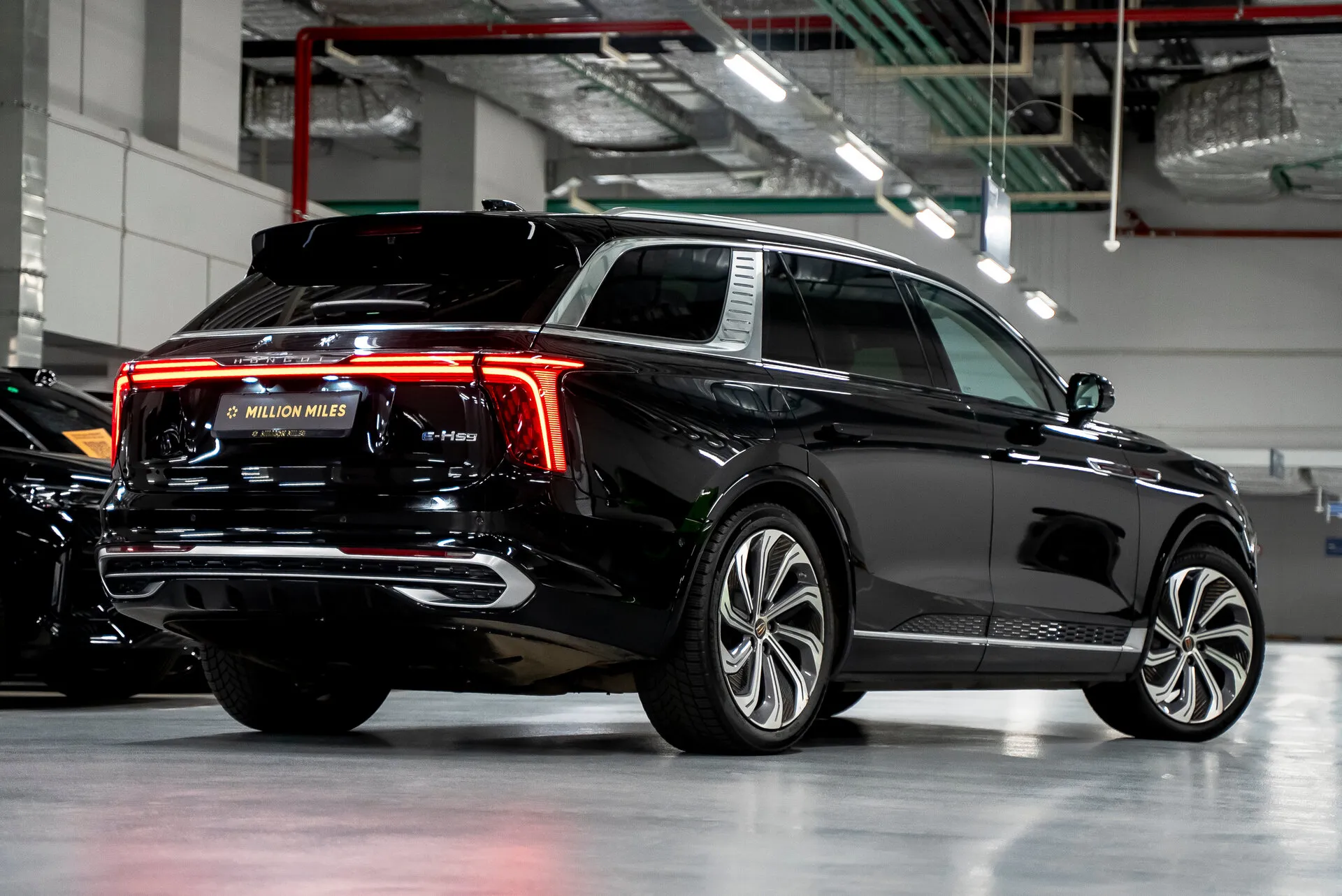 Hongqi E-Hs9, I 2023 фото 6