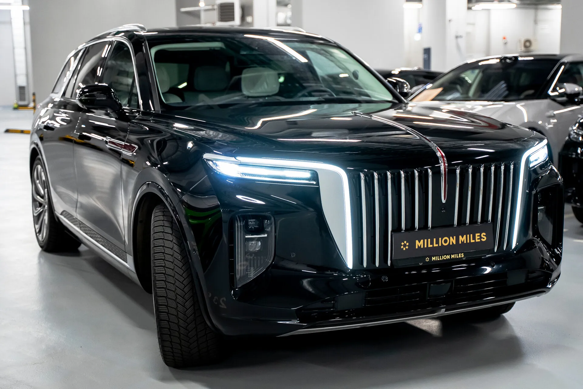 Hongqi E-Hs9, I 2023 фото 10