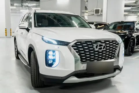 Hyundai Palisade, I 2019 — миниатюра 3