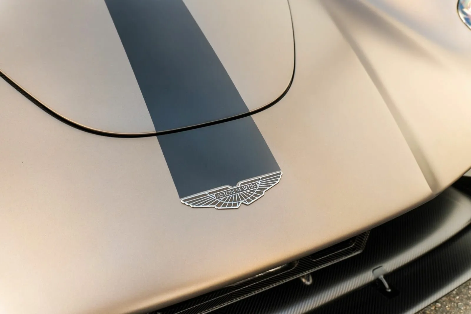 Aston Martin Valkyrie, I 2023 фото 4