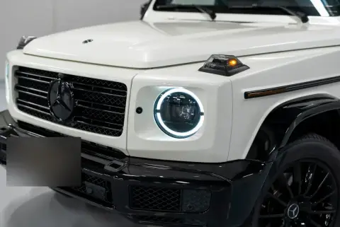 Mercedes-Benz G-Класс, Iii (W463) 2020 — миниатюра 3