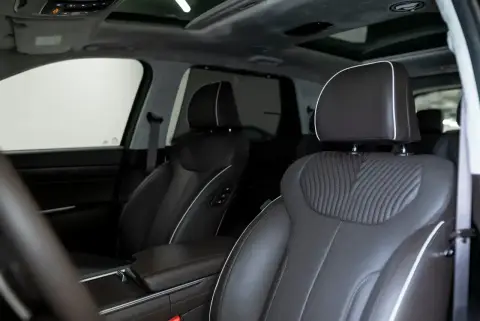 Hyundai Palisade, I Рестайлинг 2023 — миниатюра 2