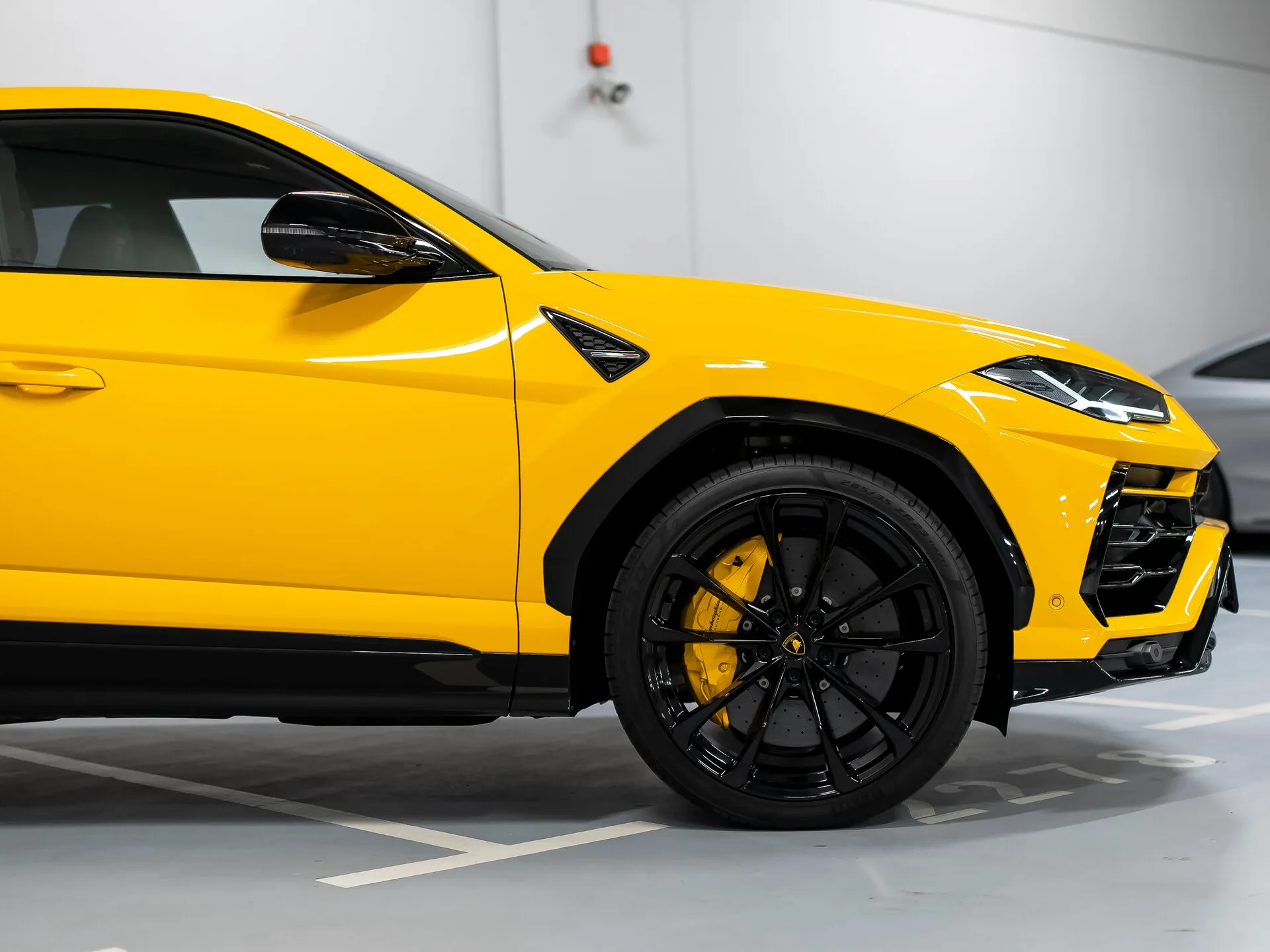 Lamborghini Urus, I 2022 фото 6