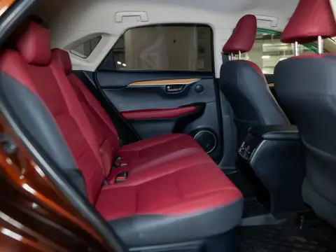 Lexus NX 200, I Рестайлинг 2020 — миниатюра 4