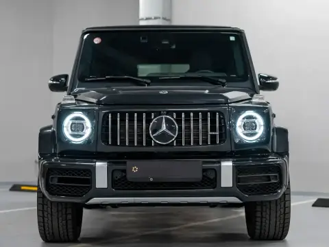 Mercedes-Benz G-Класс, Iii (W463) 2020 — миниатюра 2