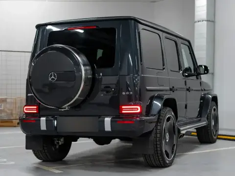 Mercedes-Benz G-Класс, Iii (W463) 2020 — миниатюра 8