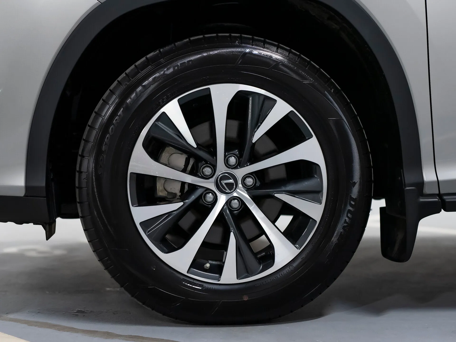Lexus RX 300, Iv Рестайлинг 2022 фото 10