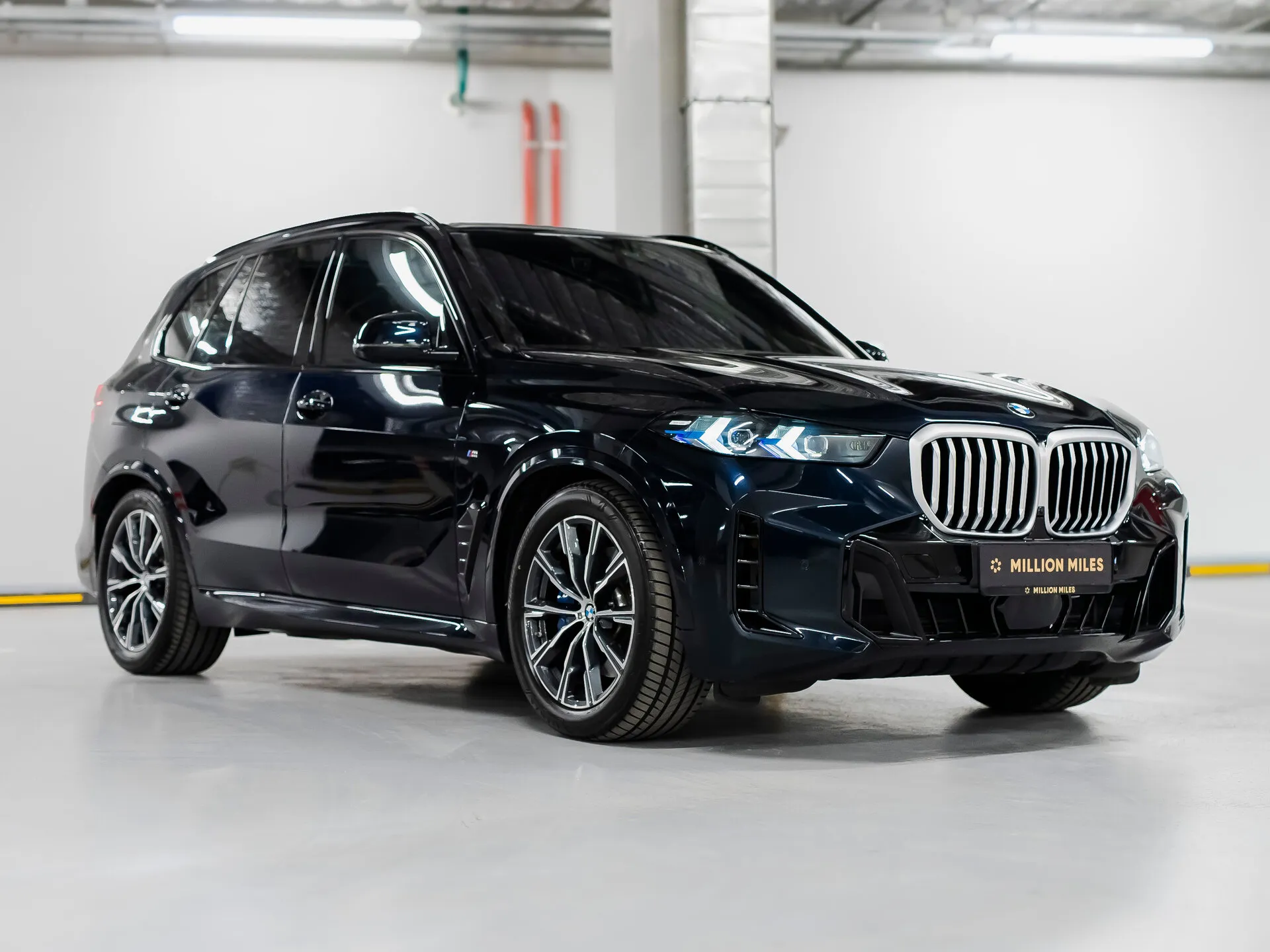 BMW X5, Iv (G05/G18) Рестайлинг 2023 фото 9