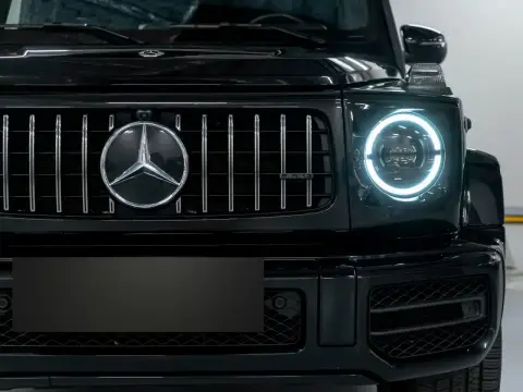 Mercedes-Benz G-Класс 350, Iii (W463) 2021 — миниатюра 7