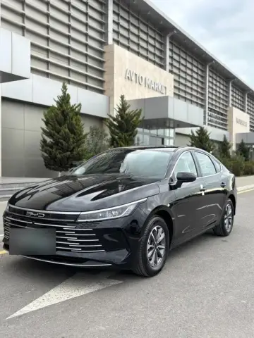 BYD Destroyer 05 2025 — миниатюра 1