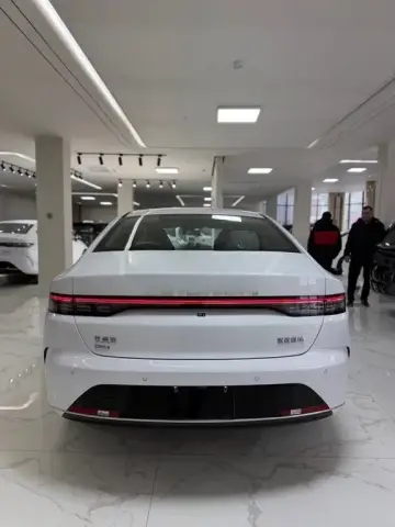 BYD Destroyer 05 2025 — миниатюра 3