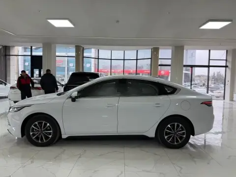 BYD Destroyer 05 2025 — миниатюра 4