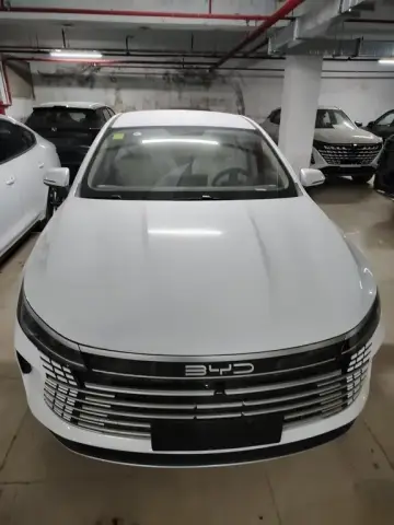 BYD Destroyer 05 2025 — миниатюра 1