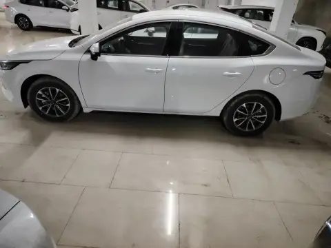 BYD Destroyer 05 2025 — миниатюра 3