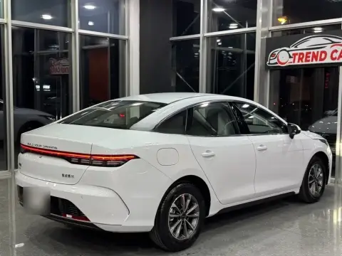 BYD Destroyer 05 2025 — миниатюра 8
