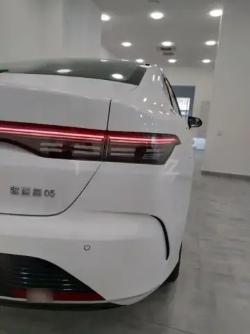 BYD Destroyer 05 2025 — миниатюра 4