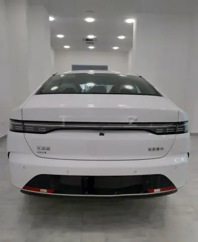 BYD Destroyer 05 2025 — миниатюра 5