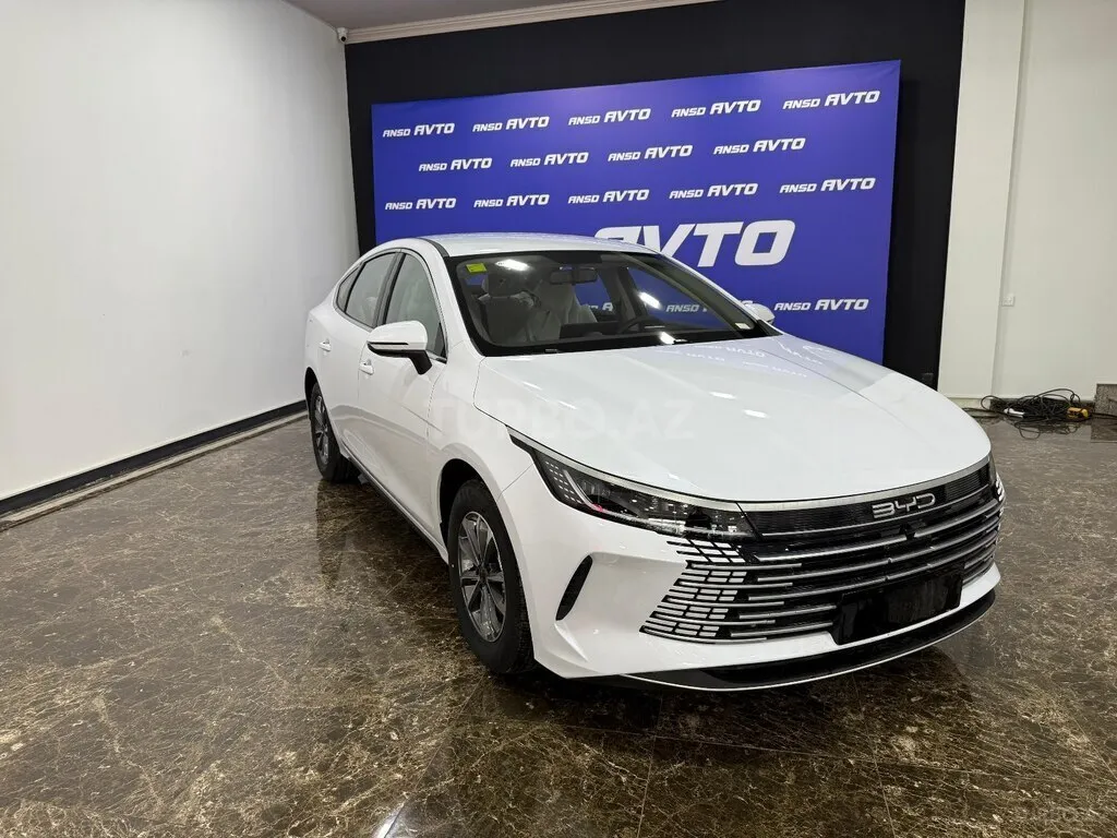 BYD Destroyer 05 2025 — фото 1 из 5
