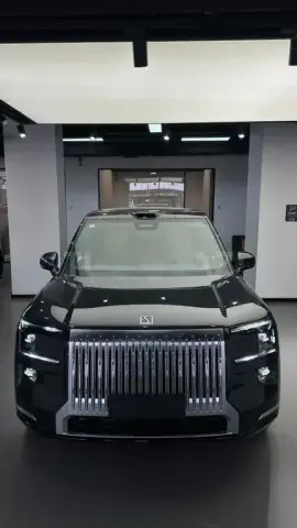 Zeekr 9X 2025 — миниатюра 1