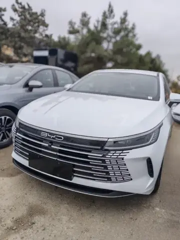 BYD Destroyer 05 2025 — миниатюра 4