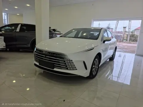 BYD Destroyer 05 2025 — миниатюра 5