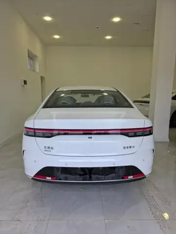 BYD Destroyer 05 2025 — миниатюра 10