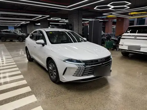 BYD Destroyer 05 2025 — миниатюра 3