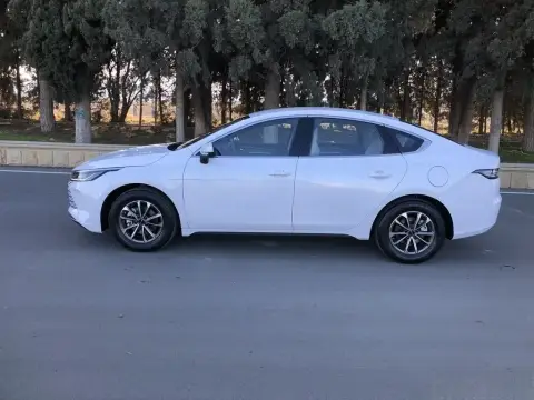 BYD Destroyer 05 2025 — миниатюра 6