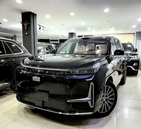 Geely Galaxy M9 2025 — миниатюра 8