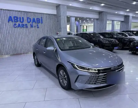 BYD Destroyer 05 2025 — миниатюра 3
