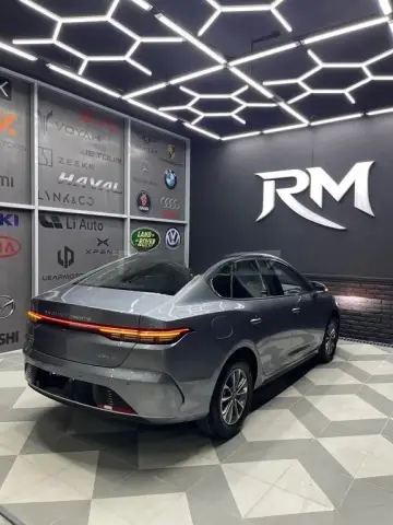 BYD Destroyer 05 2025 — миниатюра 6