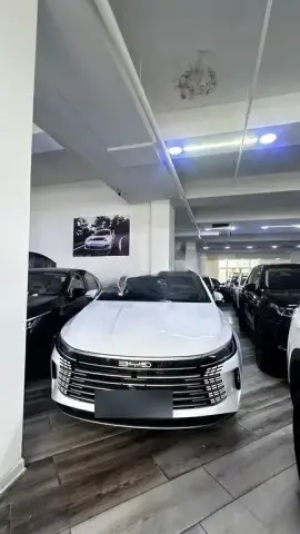 BYD Destroyer 05 2025 — миниатюра 1