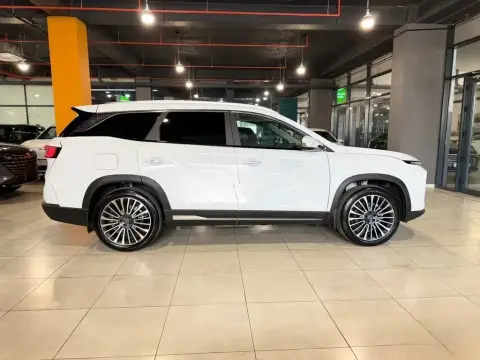 Soueast S09 DM 2025 — миниатюра 6