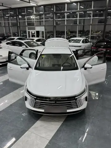 BYD Destroyer 05 2025 — миниатюра 7